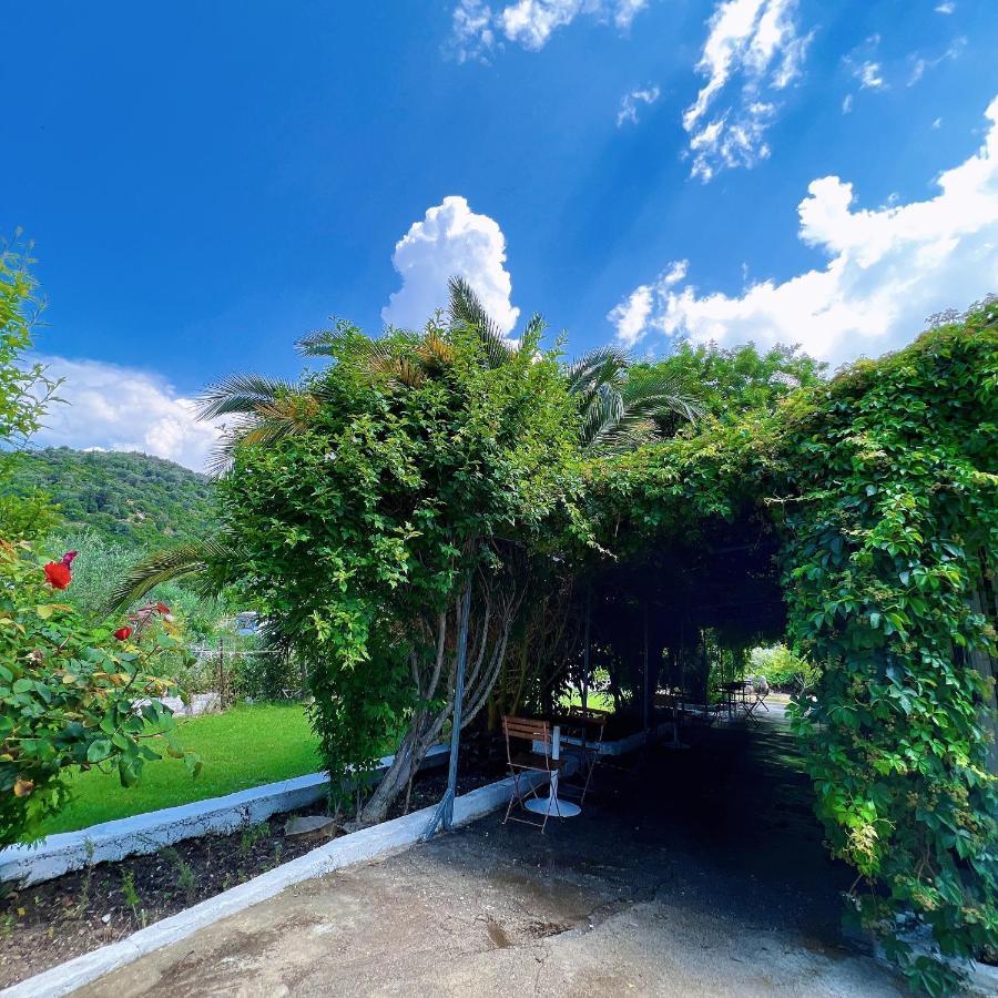 Garden Villa Naza Piqeras Екстериор снимка