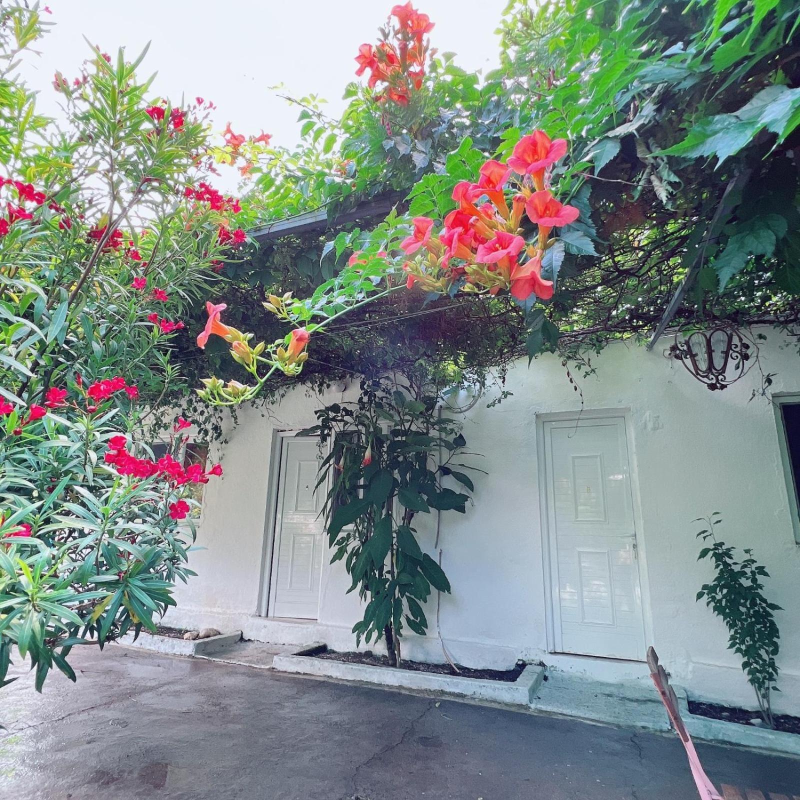 Garden Villa Naza Piqeras Екстериор снимка