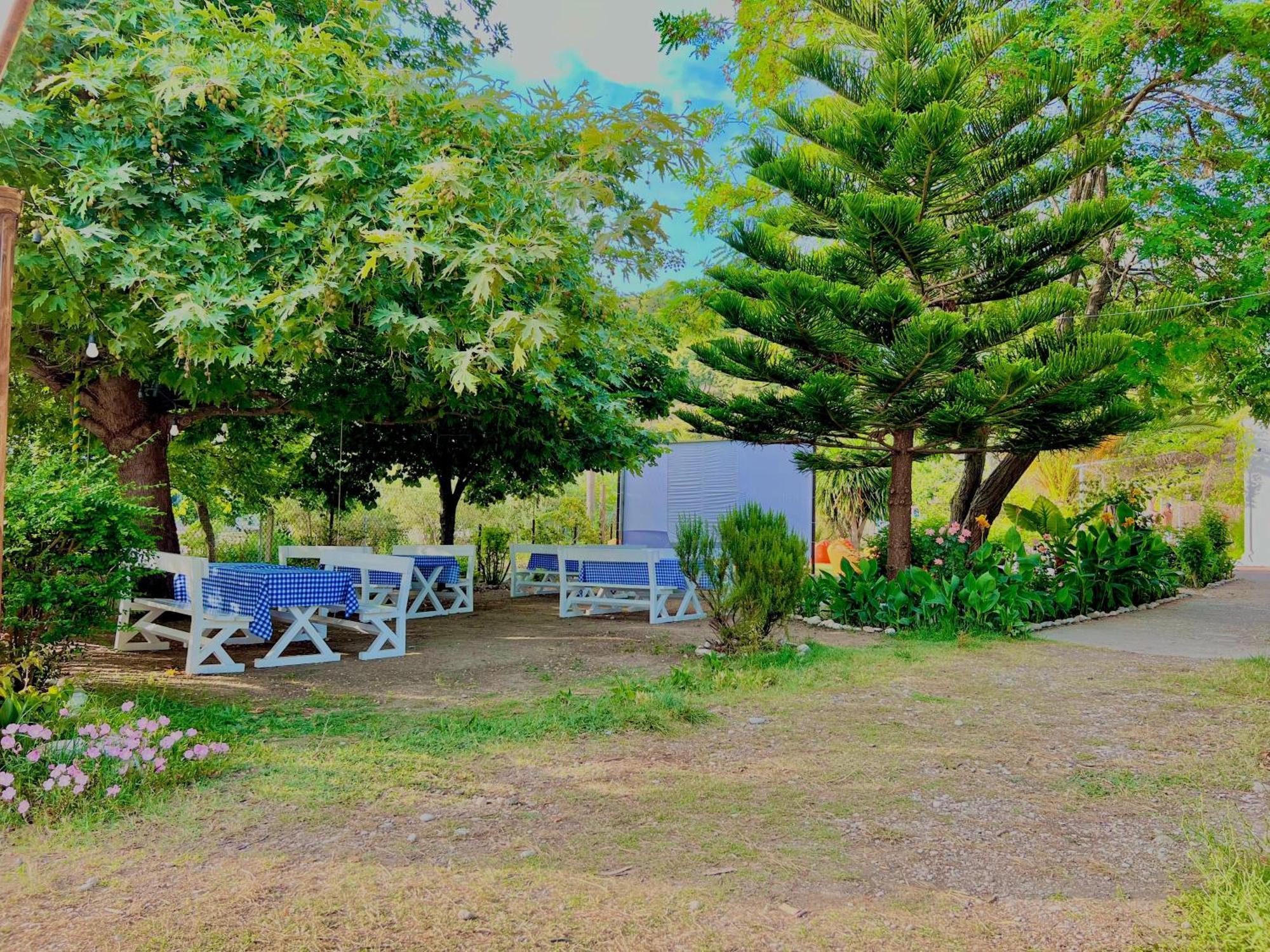 Garden Villa Naza Piqeras Екстериор снимка